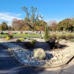 Mature trees and arboretum landscape at Woodside Cemetery