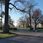 Mature trees and arboretum landscape at Woodside Cemetery