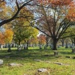 Mature trees and arboretum landscape at Woodside Cemetery
