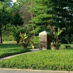 Mature trees and arboretum landscape at Woodside Cemetery