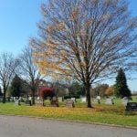 Mature trees and arboretum landscape at Woodside Cemetery