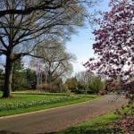 Mature trees and arboretum landscape at Woodside Cemetery
