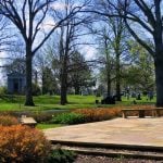 Mature trees and arboretum landscape at Woodside Cemetery