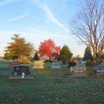 Mature trees and arboretum landscape at Woodside Cemetery